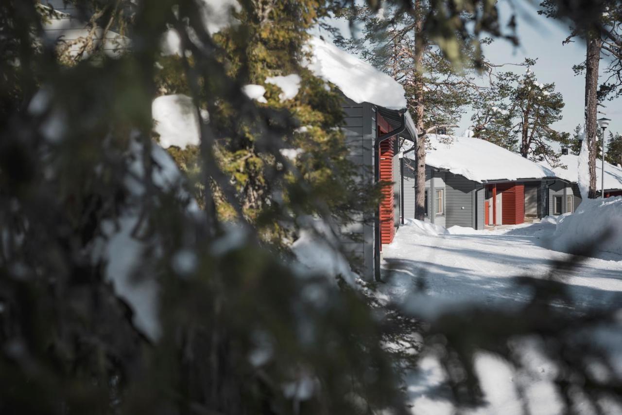 Ski-inn Mastonaitio Chalet Ruka
