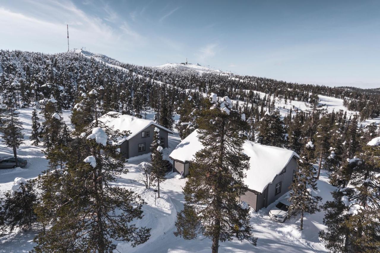 Ski-inn Mastonaitio * Рука
